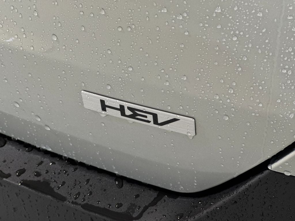 2025 Kia Carnival Hybrid SX